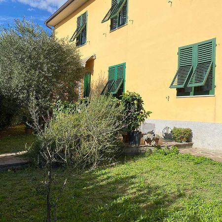 Appartamento Le Siepi Reggello Esterno foto
